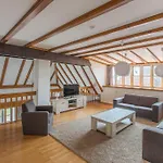 Hoeve Holland *